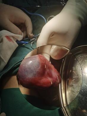 5db126b89352ed48af1b4247100c1ffb