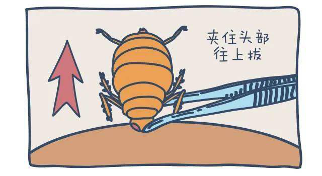 图片09.png 图片09.png