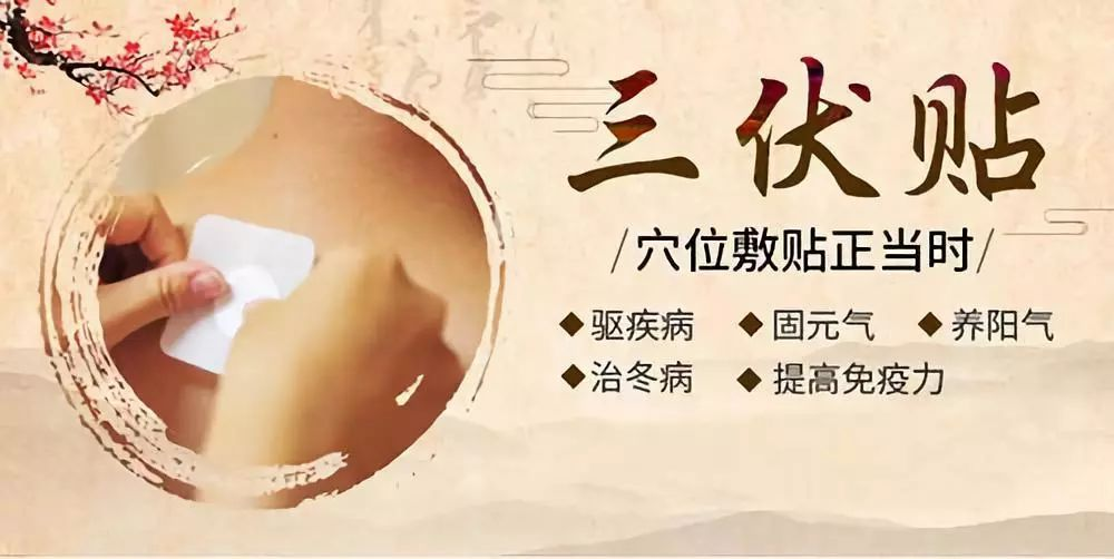 中药贴敷在人体特定穴位上,通过药物,俞穴及经络的作用,疏经散寒,温肺
