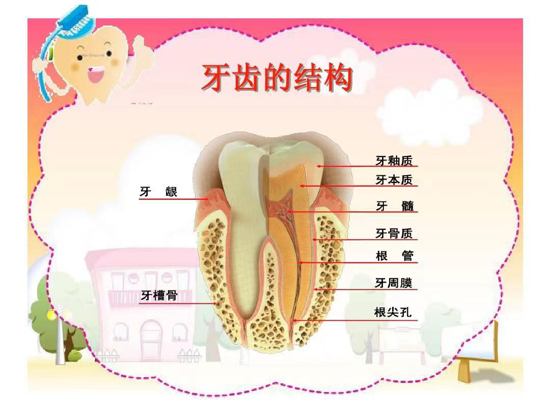 图片6 图片6.png