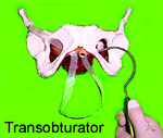 图片5 图片5.png